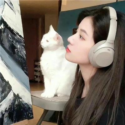 茶啊二中第四季